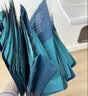 鲜朗低温烘焙猫粮无谷全阶段通用型鲜郎营养高蛋白鸡肉全价猫粮囤货装 烘焙猫粮2kg【单包装】 实拍图