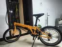 大行（DAHON）P8折叠自行车20英寸8级变速单车KBC083 橙色经典版--京仓 实拍图