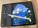 倍思iPad触控笔apple pencil适用苹果iPad/Air/mini平板电容笔触屏手写笔pro静音改造笔尖新款 实拍图