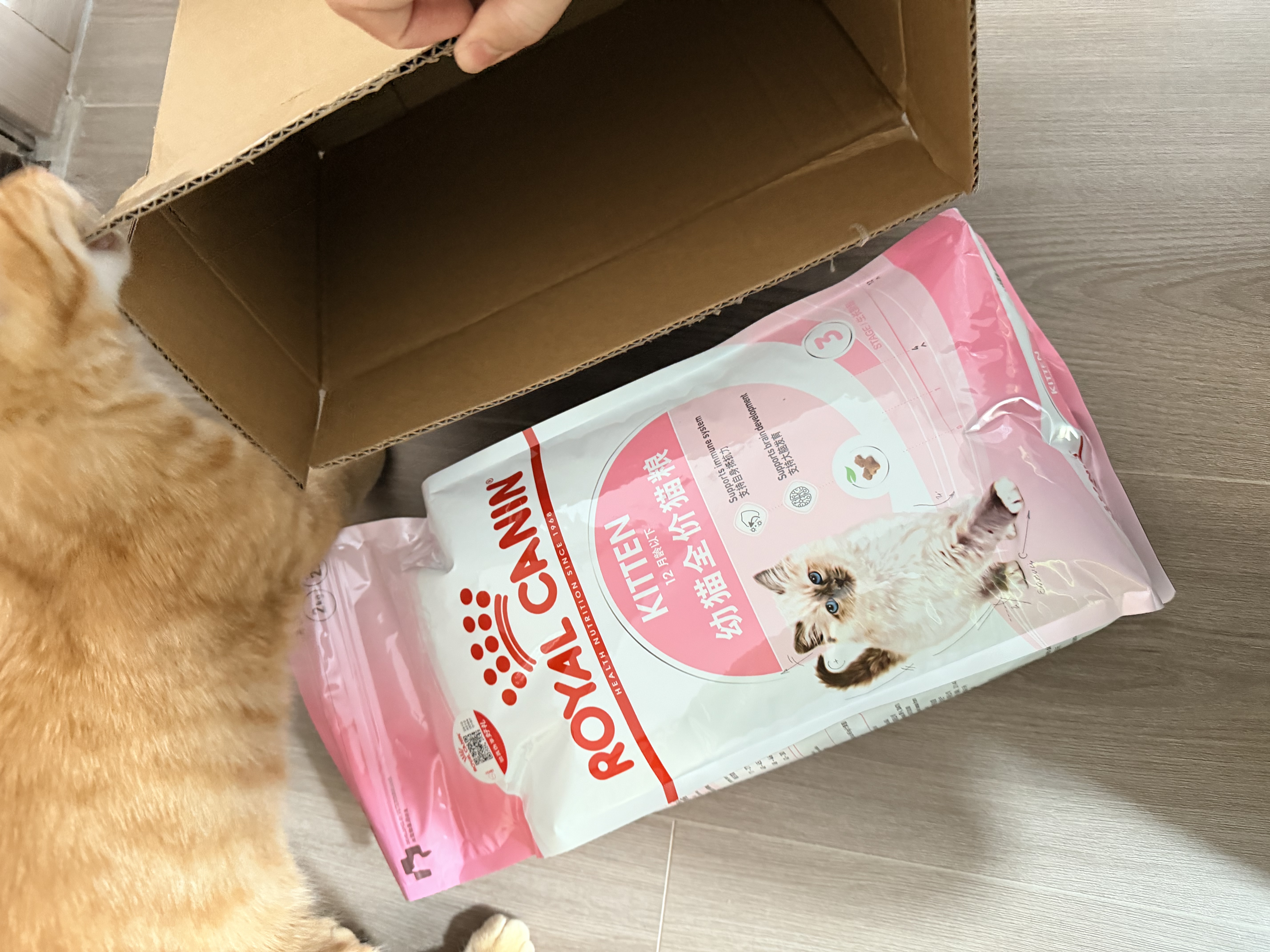 皇家猫粮 幼猫猫粮 幼猫奶糕 K36 通用粮 4-12月 2KG【宠物金选】 实拍图