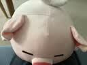 名创优品（MINISO）小猪B-BO翅膀猪玩偶毛绒公仔娃娃猪猪抱枕睡靠枕生日礼物女次日达 实拍图