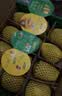 佳沛（zespri）新西兰金奇异果10粒巨大果146-175g猕猴桃水果礼盒 实拍图