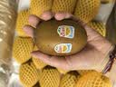 佳沛（zespri）新西兰金奇异果16粒经典果88-103g猕猴桃中秋节礼品送水果礼盒 实拍图