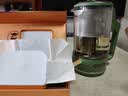 摩飞电器（Morphyrichards）养生壶便携煮茶器烧水壶养生杯小型办公室家用多功能煮茶壶一体热水壶0.6L MR6086 绿 实拍图