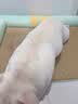 雪貂留香狗狗沐浴露宠物猫咪香波泰迪比熊清洁驱虫除虫止痒浴液 抑菌驱螨 实拍图