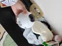 萤石EZVIZ摄像头家用 高清WIFI无线监控器莹石云APP手机远程查看室内360度全景旋转云台智能网络摄像机 500万C6C红外夜视【超清版】 官方标配无卡【30天云存储体验包】 实拍图