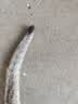 清扬男士去屑洗发水 清爽控油1200g 蓬松修护洗头膏热门商品新老随机 实拍图