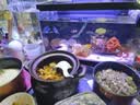 当贝智能鱼缸海绵宝宝造景套餐 实拍图