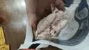 正大鸡胗2斤 生鲜冷冻鸡肫卤煮孜然鸡胗烧烤炒菜麻辣小郡肝 实拍图