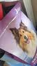 网易严选犬粮全价三拼狗粮 美毛低敏鱼肉鱼油配方 长毛犬小型中大型犬2kg 实拍图