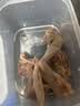 硒全食美无抗富硒老鸽 净重400g*2只 冷冻 鸽子生鲜煲汤烧烤鸽子肉鸽 实拍图