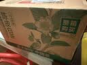 农夫山泉东方树叶陈皮白茶500ml*15瓶无糖茶饮料0糖0脂0卡整箱 实拍图
