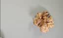 古力巴戈新疆原味新二薄皮核桃1500g 纸皮端午礼盒坚果特产休闲零食带夹子 实拍图