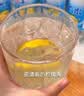 鲜丰春新货上海盐汽水600ml*24瓶柠檬整箱解渴批发运动功能饮料老汽水 实拍图