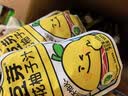 金豆芽金银花柚子汁儿童饮品户外便携小孩果汁饮料送礼礼盒100ml*22袋 实拍图