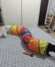 HELLOJOY猫玩具隧道加长可折叠宠物用品通道钻洞猫咪自嗨解闷神器彩虹迷宫 实拍图