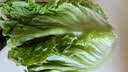 【烧烤季】钟灵山罗马生菜400g 实拍图
