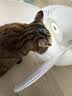 自然光环美国进口Halo【成猫鲜肉】膨化猫粮美毛护肤布偶蓝猫纯鲜肉无肉粉 【热卖装】鸡肉味6磅*2包 (效期27.6起) 下单抽奖·满赠好礼~详情请入会 实拍图
