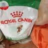 皇家狗粮 成犬狗粮 犬粮 宠物小型犬 PR27 全价犬粮≥10月2KG 实拍图