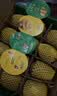 佳沛（zespri）新西兰金奇异果12粒特大果124-146g猕猴桃水果礼盒 实拍图