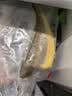三都港 去刺黄花鱼片235g 宝宝辅食 深海鱼 生鲜鱼类 烧烤食材 中秋海鲜 实拍图