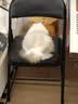 皇家猫粮 布偶成猫粮 RA32 通用粮 12月以上 4.5KG 实拍图