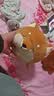 名创优品（MINISO）柴犬抱枕小狗沙发靠背床上陪睡安抚学生午睡枕狗狗生日礼物 实拍图