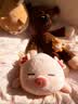 名创优品（MINISO）小猪B-BO玩偶公仔毛绒娃娃抱枕靠枕生日礼物女儿童玩具趴趴bobo猪 实拍图