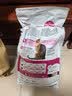 皇家猫粮 挑嘴成猫猫粮 高适口性 EF38 通用粮 12月以上 4KG 实拍图
