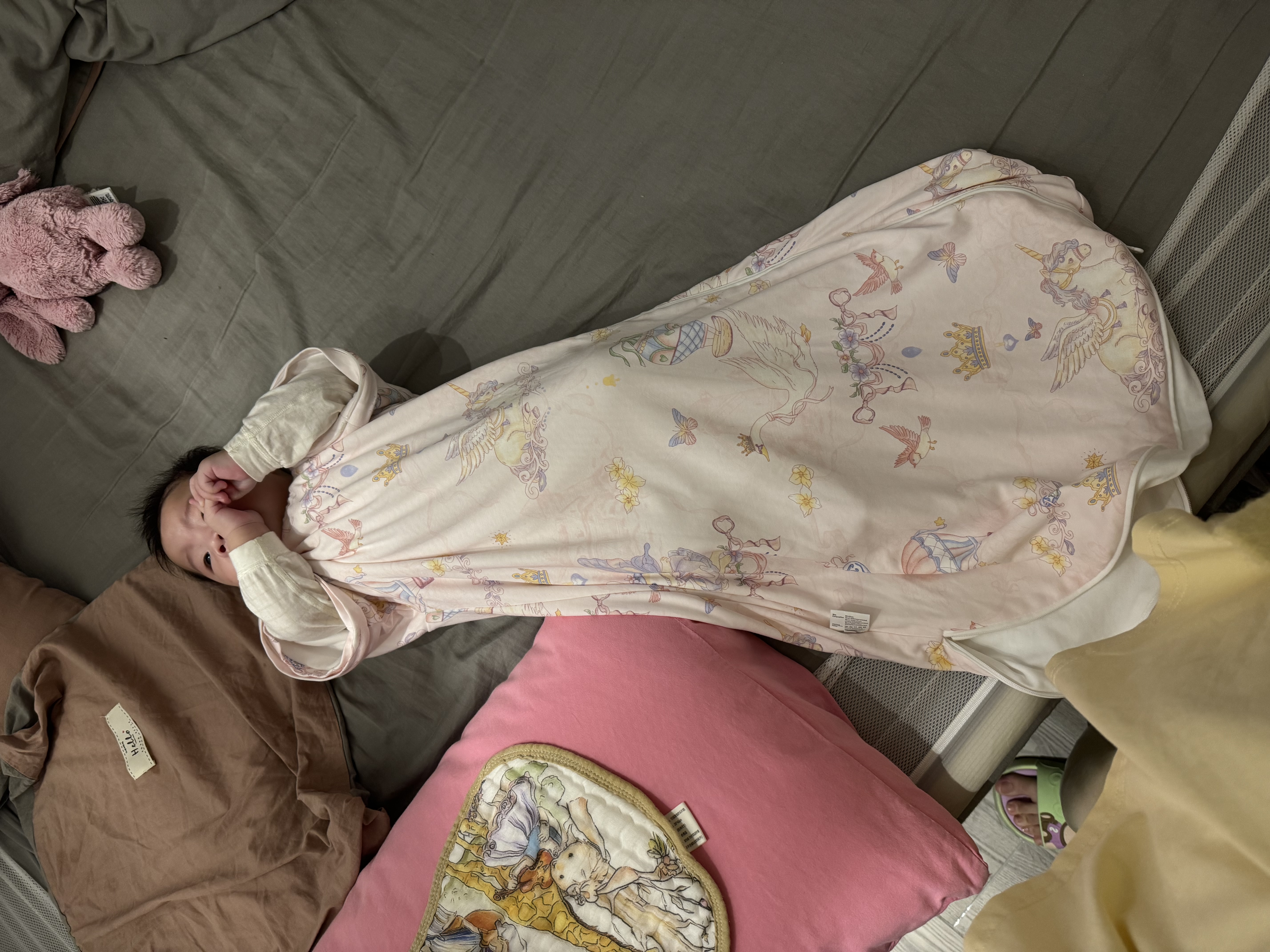 贝肽斯婴儿睡袋暖姜3.0儿童一体睡袋婴幼儿防踢被睡衣四季双层 花语M 实拍图