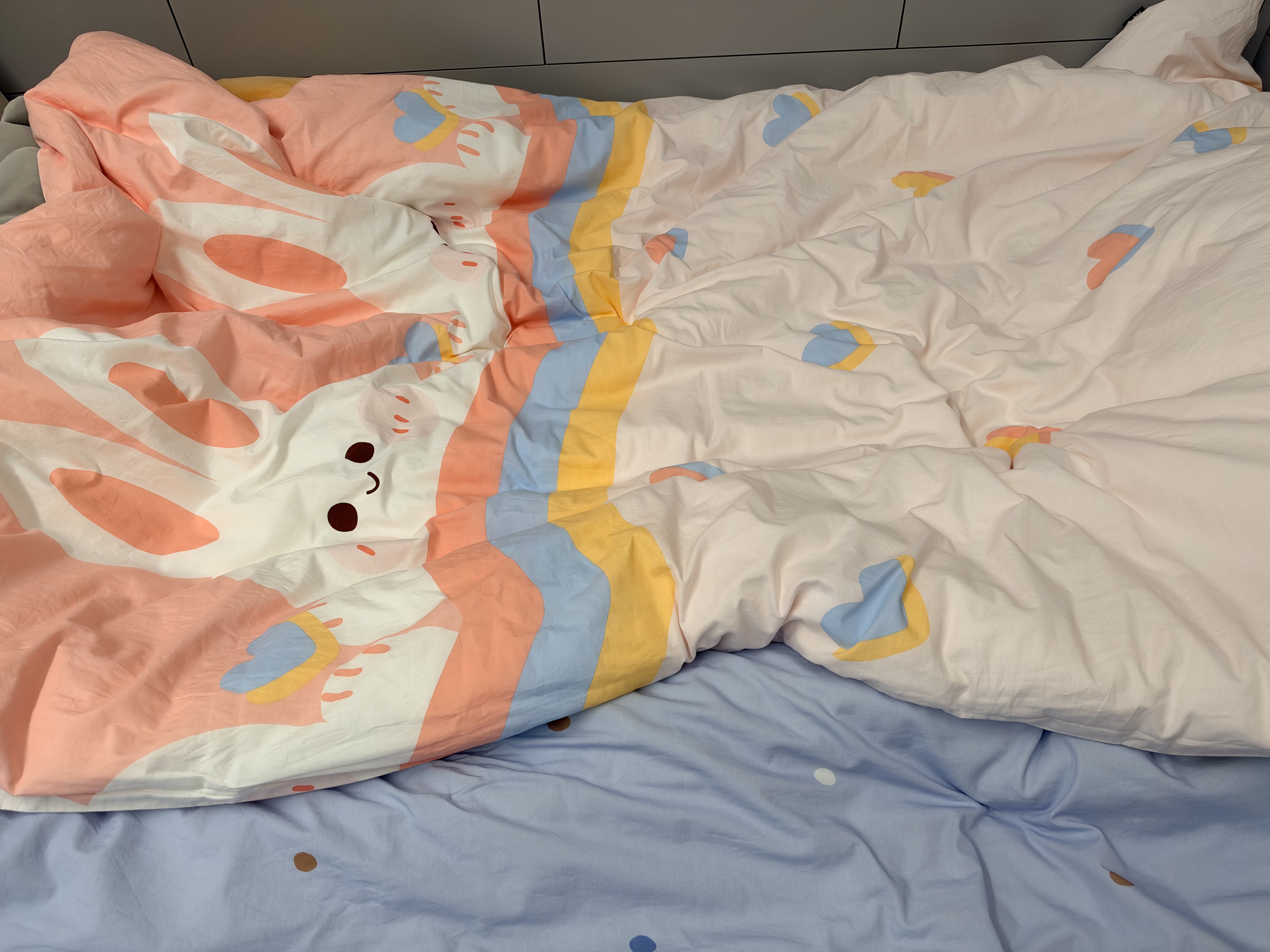 多喜爱全棉被套单件 单人学生宿舍四季纯棉被罩被芯套1.2米床152*218cm 实拍图