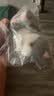 威尔通（WELTSTON）小猫咪挂件猫咪玩偶德文猫玩具抱枕毛绒玩偶送女孩生日礼物女生士 实拍图