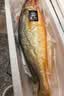 鸿顺深海野化黄花鱼1200g/2条 宁德大黄鱼 冷冻海鲜 礼盒 源头直发 实拍图