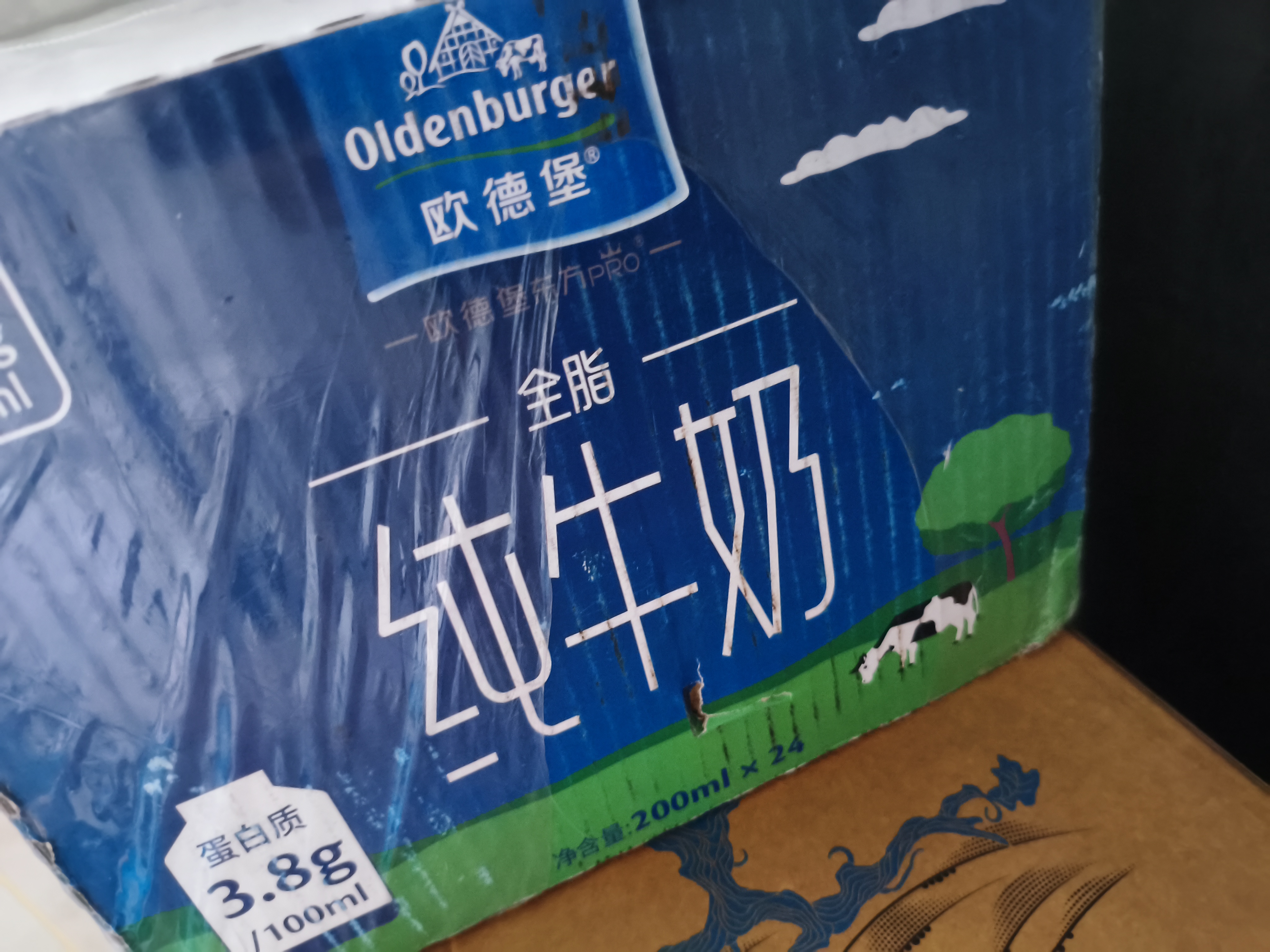 欧德堡（Oldenburger）3.8g优质蛋白 120mg高钙 全脂纯牛奶200ml*24盒 实拍图
