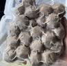 潮夫道牛肉丸1斤+牛筋丸1斤共4袋潮汕手打牛肉丸火锅食材麻辣烫关东煮 实拍图