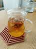 物生物（RELEA）玻璃杯男女士茶水分离杯耐高温办公泡茶杯带把高硼硅水杯花茶杯子 实拍图