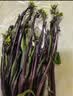 紫菜苔300g 实拍图