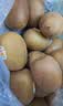 佳沛（zespri）新西兰 金奇异果特大果15粒134-146g猕猴桃水果礼盒 实拍图