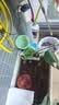 森森鱼缸增氧泵水族箱氧气泵LQE-50家用小型充氧泵3W单孔+全套配件 实拍图