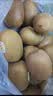 佳沛（zespri）新西兰 金奇异果特大果15粒134-146g猕猴桃水果礼盒 实拍图
