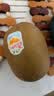 佳沛（zespri）新西兰金奇异果10粒巨大果146-175g猕猴桃水果礼盒 实拍图
