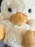 Jellycat甜美小鸭可爱公仔动物毛绒玩偶小玩偶陪伴娃娃送礼生日新婚礼物 甜美小鸭 One Size 实拍图