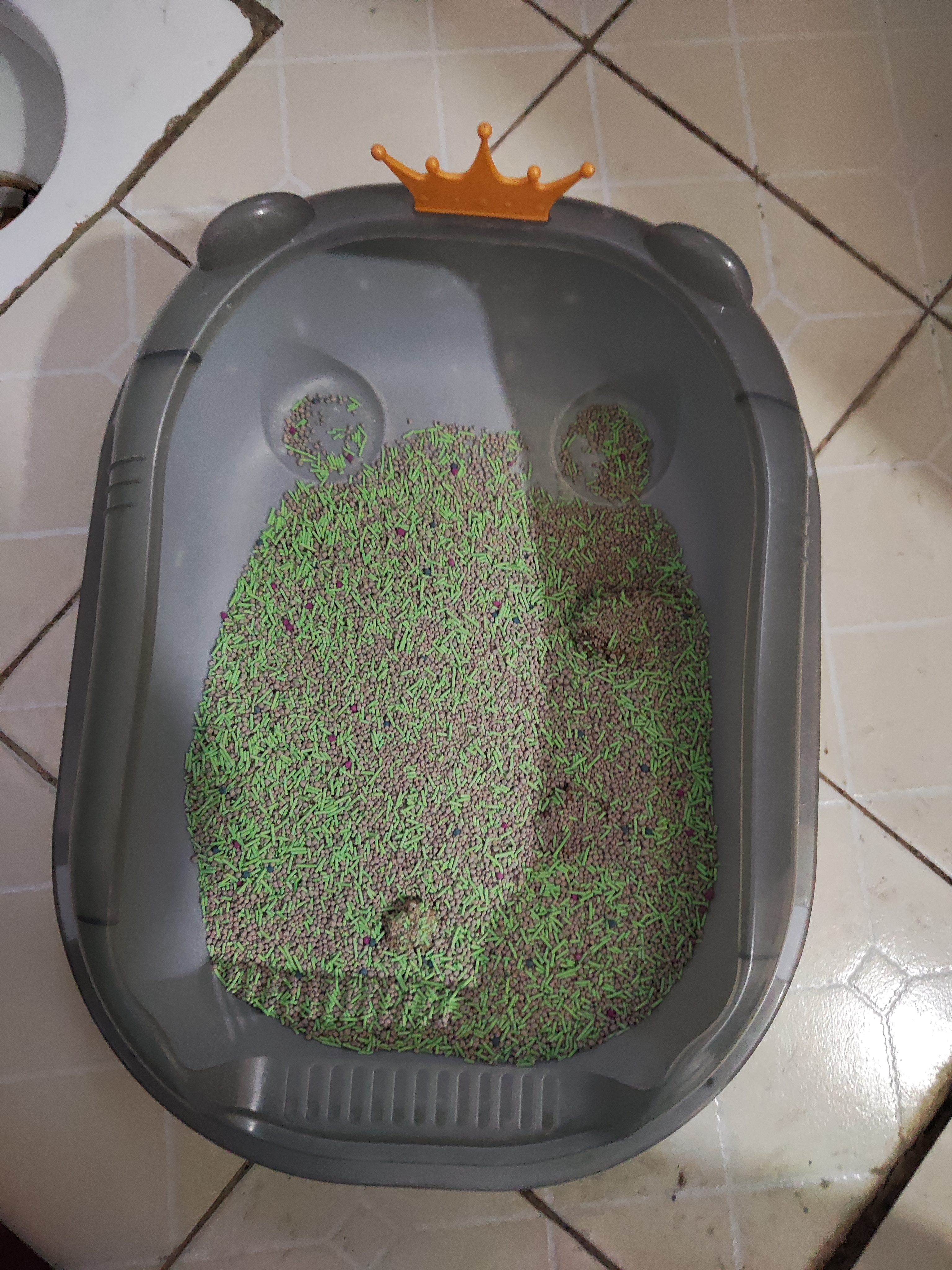 【源头直发】豆腐猫砂混合猫砂无尘除臭结团可冲厕10斤大袋装 绿茶味 【高性价比】5:5混合猫砂10斤 实拍图