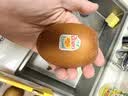 佳沛（zespri）新西兰 金奇异果特大果15粒134-146g猕猴桃水果礼盒 实拍图