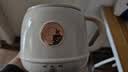 乐扣乐扣养生杯烧水杯 电煮杯电热水杯加热水杯迷你养生壶热奶杯电炖杯旅行户外EJC3125WHT 实拍图