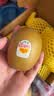 佳沛（zespri）新西兰金奇异果猕猴桃 5粒装 单果约88-103g 水果源头直发 实拍图