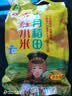 十月稻田 赤峰小米 1kg 内蒙古敖汉旗 黄小米杂粮 小米黄小米 实拍图