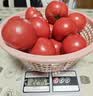 京鲜生陕 普罗旺斯西红柿净重4.5斤中果110g+ 陕西正宗水果番茄源头直发 实拍图