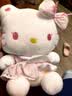 Hello Kitty三丽鸥毛绒玩具玩偶布娃娃抱枕摆件生日礼物送女生女孩凯蒂猫公仔 实拍图