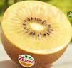 佳沛（zespri）新西兰金奇异果22粒巨大原箱146-175g猕猴桃中秋节礼品送水果礼盒 实拍图
